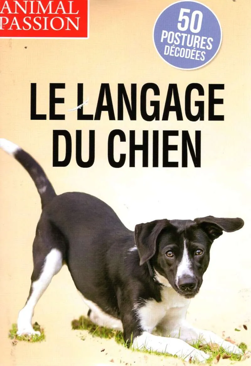 Animal Passion n°52